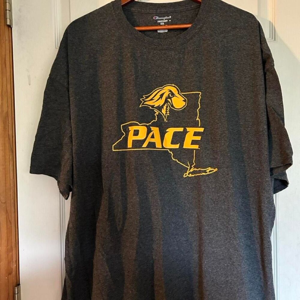 Champion Men's Grey T-shirt